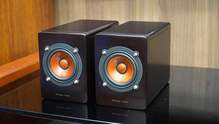 victor a3ltd loa màng gỗ