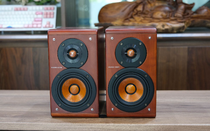 loa màng gỗ victor ex a10