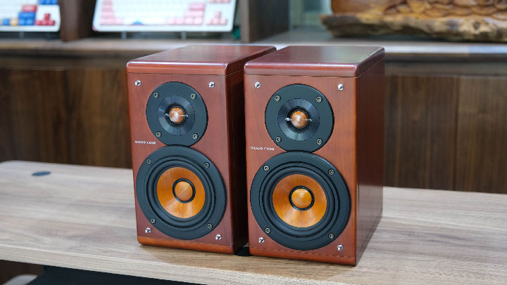 loa màng gỗ victor ex a10