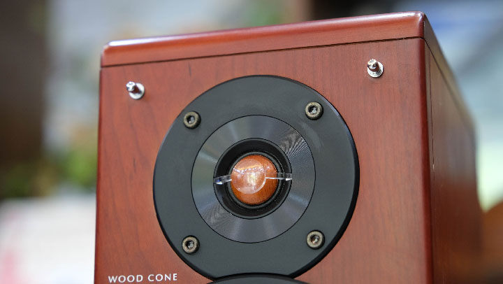 loa màng gỗ victor ex a10