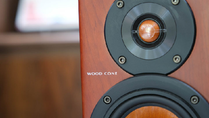 loa màng gỗ victor ex a10