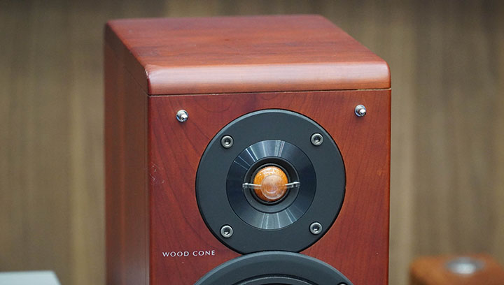 victor ex a10 treble