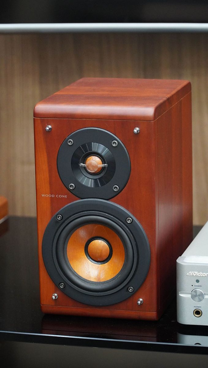 victor ex a10 loa gỗ