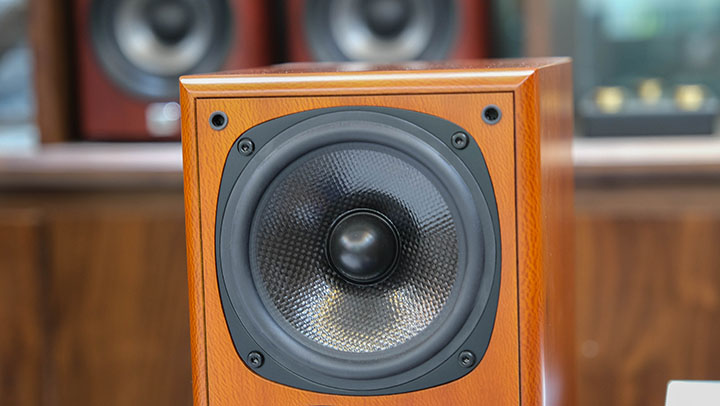 sony hap s1 & castle richmound