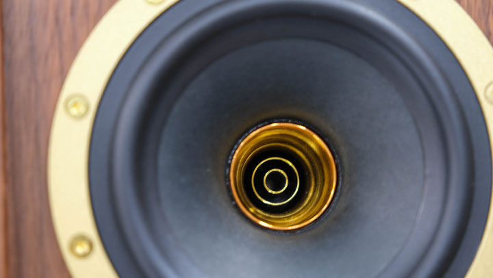 tannoy autograph mini