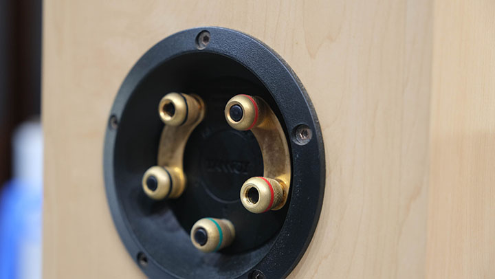 tannoy sensys dc1 maple