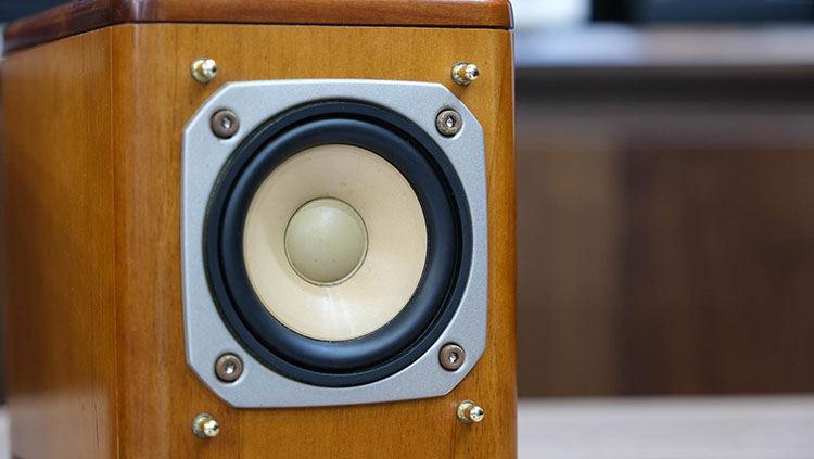 loa nhỏ victor fs10