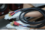 Physis Biwe Speaker