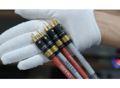 Physis RCA Cable Legend