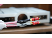 Physis RCA Cable Silver Ruby